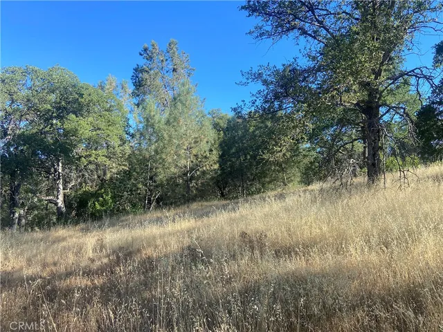 a view of lake with green space