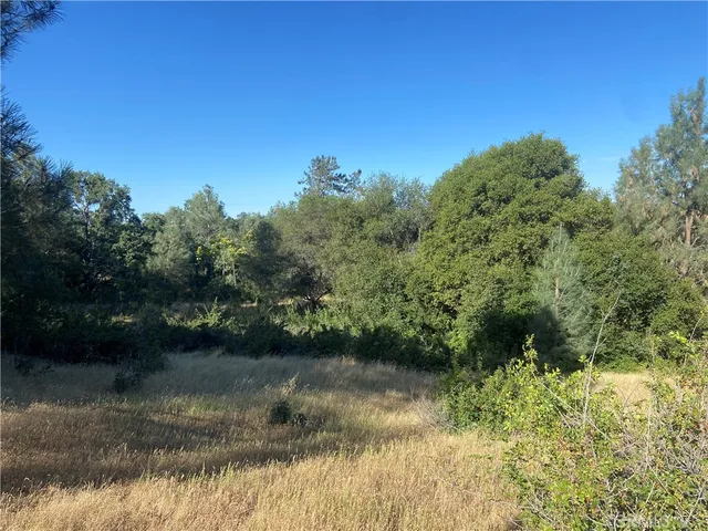 a view of a yard with a tree