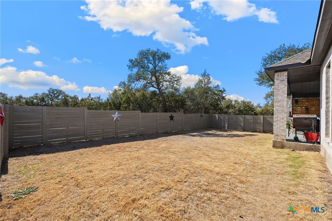343 Sugarcane New Braunfels, TX 78132 - Photo 35 of 48