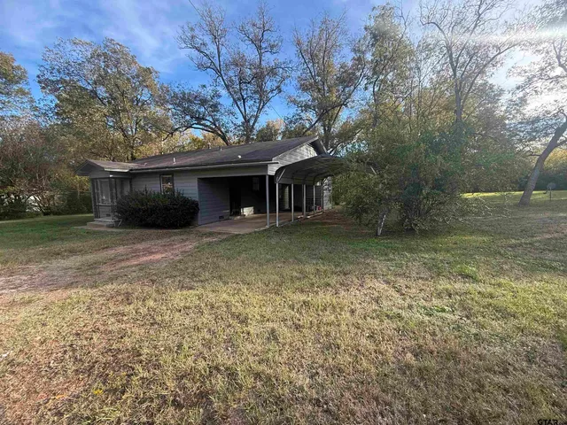 a view of a forest with trees in the background