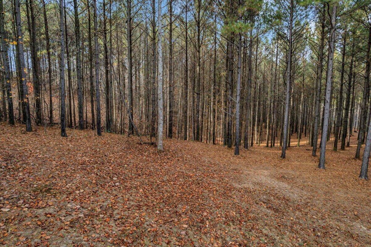 260 Compass Drive Jasper, TN 37347 - Photo 11 of 77 a view of outdoor space with wooden fence