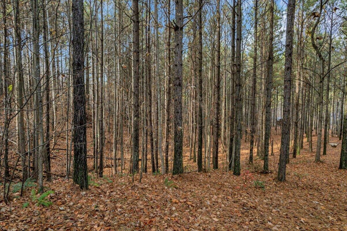 260 Compass Drive Jasper, TN 37347 - Photo 12 of 77