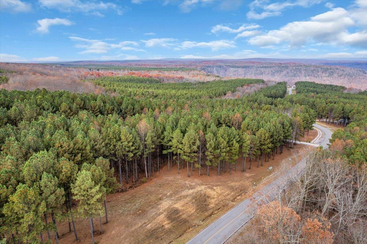 260 Compass Drive Jasper, TN 37347 - Photo 2 of 77 a view of a yard with an outdoor space