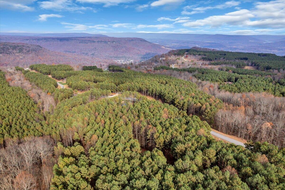 260 Compass Drive Jasper, TN 37347 - Photo 5 of 77 a view of a city with mountains in the background