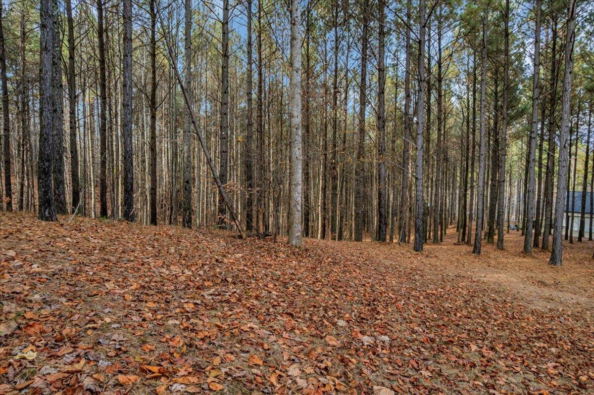 260 Compass Drive Jasper, TN 37347 - Photo 8 of 77 a view of wooden fence