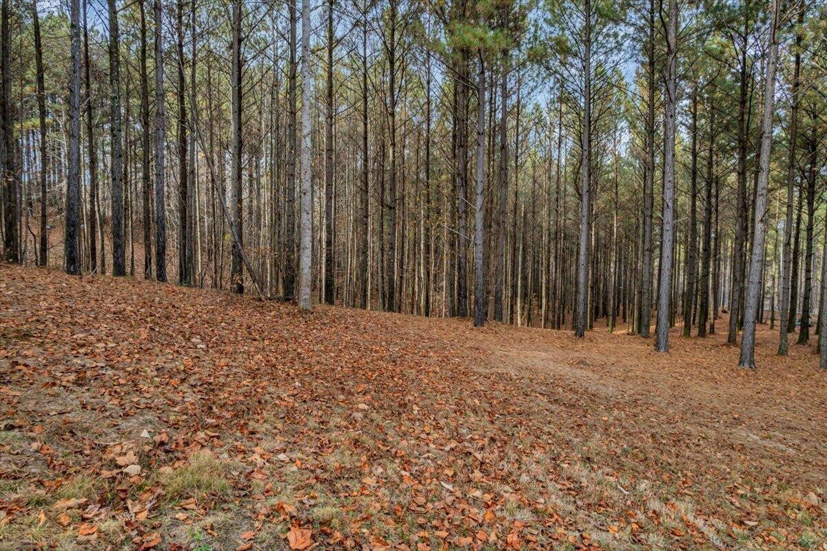 260 Compass Drive Jasper, TN 37347 - Photo 9 of 77