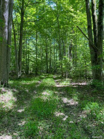 V/l Underwood Road Caro, MI 48723 - Photo 6 of 13