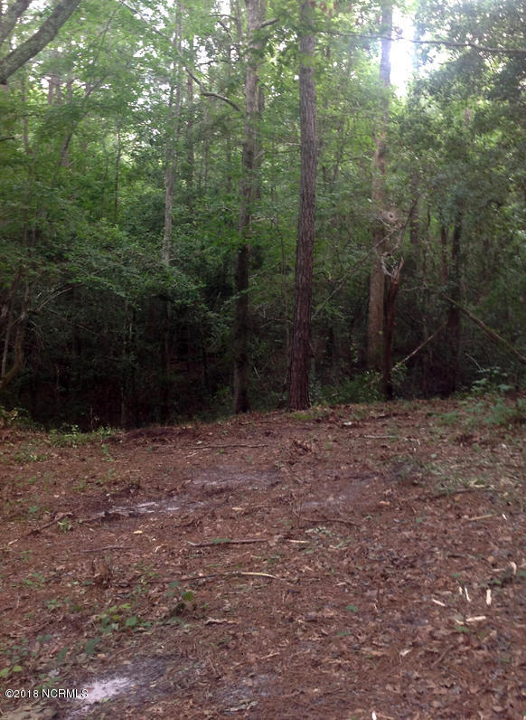 251 White Oak Bluff Road Stella, NC 28582 - Photo 29 of 31 251 - 4