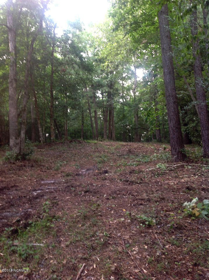 251 White Oak Bluff Road Stella, NC 28582 - Photo 30 of 31 251 - 5