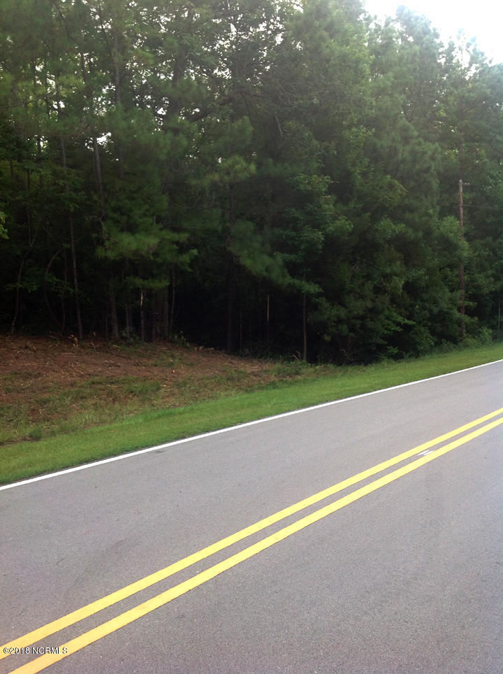 251 White Oak Bluff Road Stella, NC 28582 - Photo 31 of 31 Lot Road