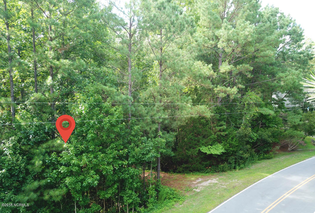 251 White Oak Bluff Road Stella, NC 28582 - Photo 10 of 31 1