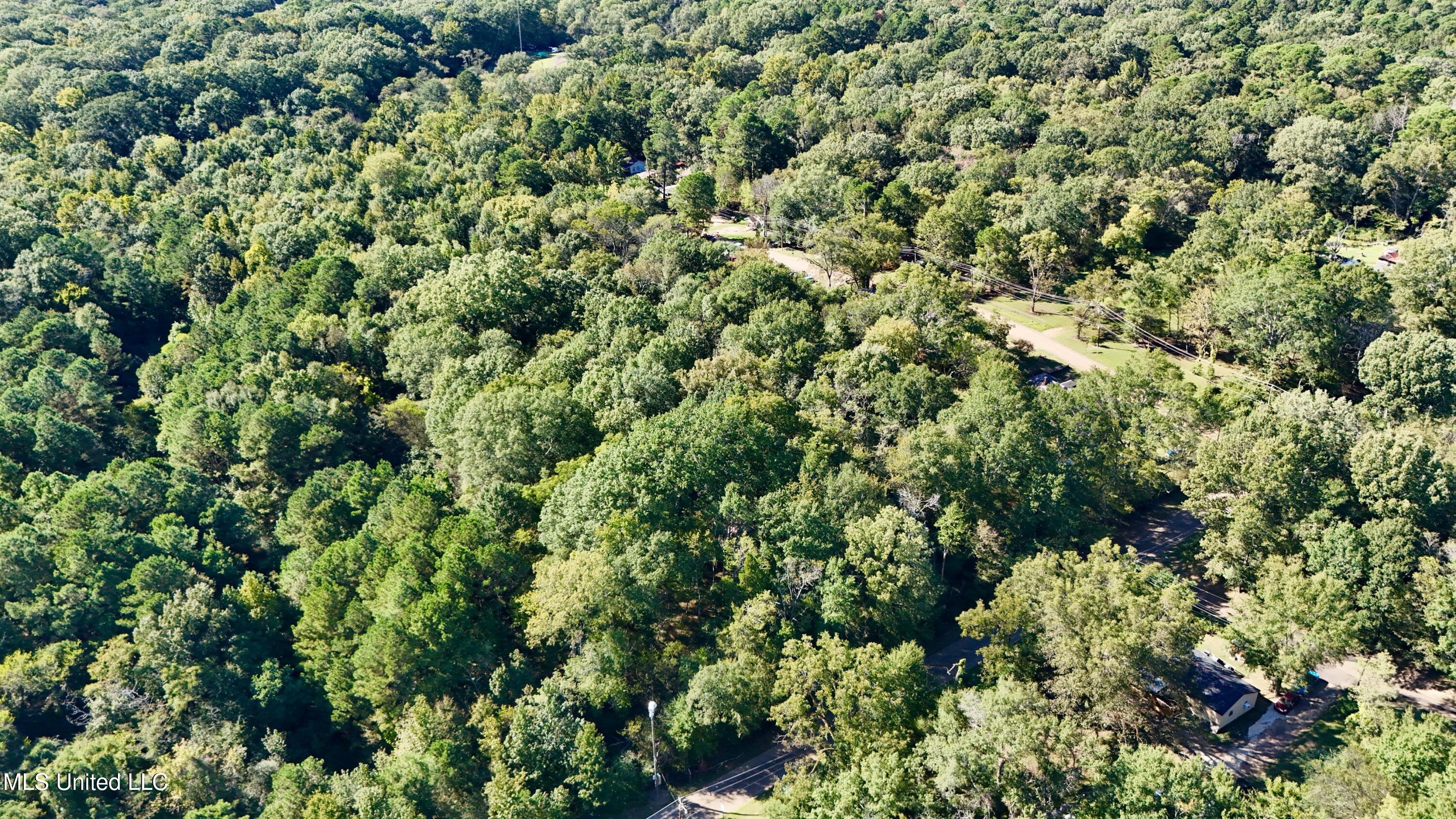 0 Vernon Road Clinton, MS 39056 - Photo 4 of 11 dji_fly_20251009_153304_0378_17600423699