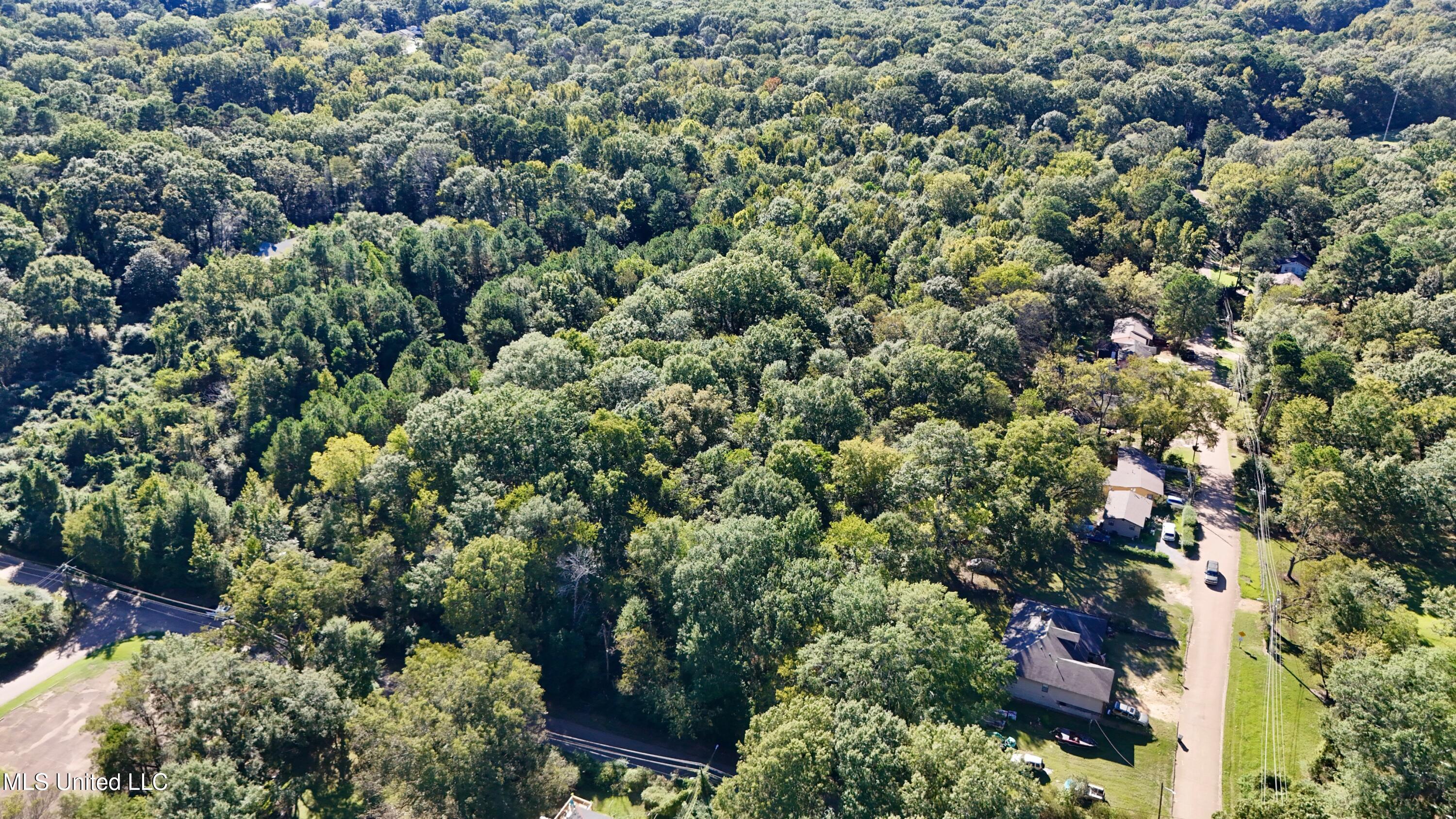 0 Vernon Road Clinton, MS 39056 - Photo 6 of 11 dji_fly_20251009_153336_0380_17600423614