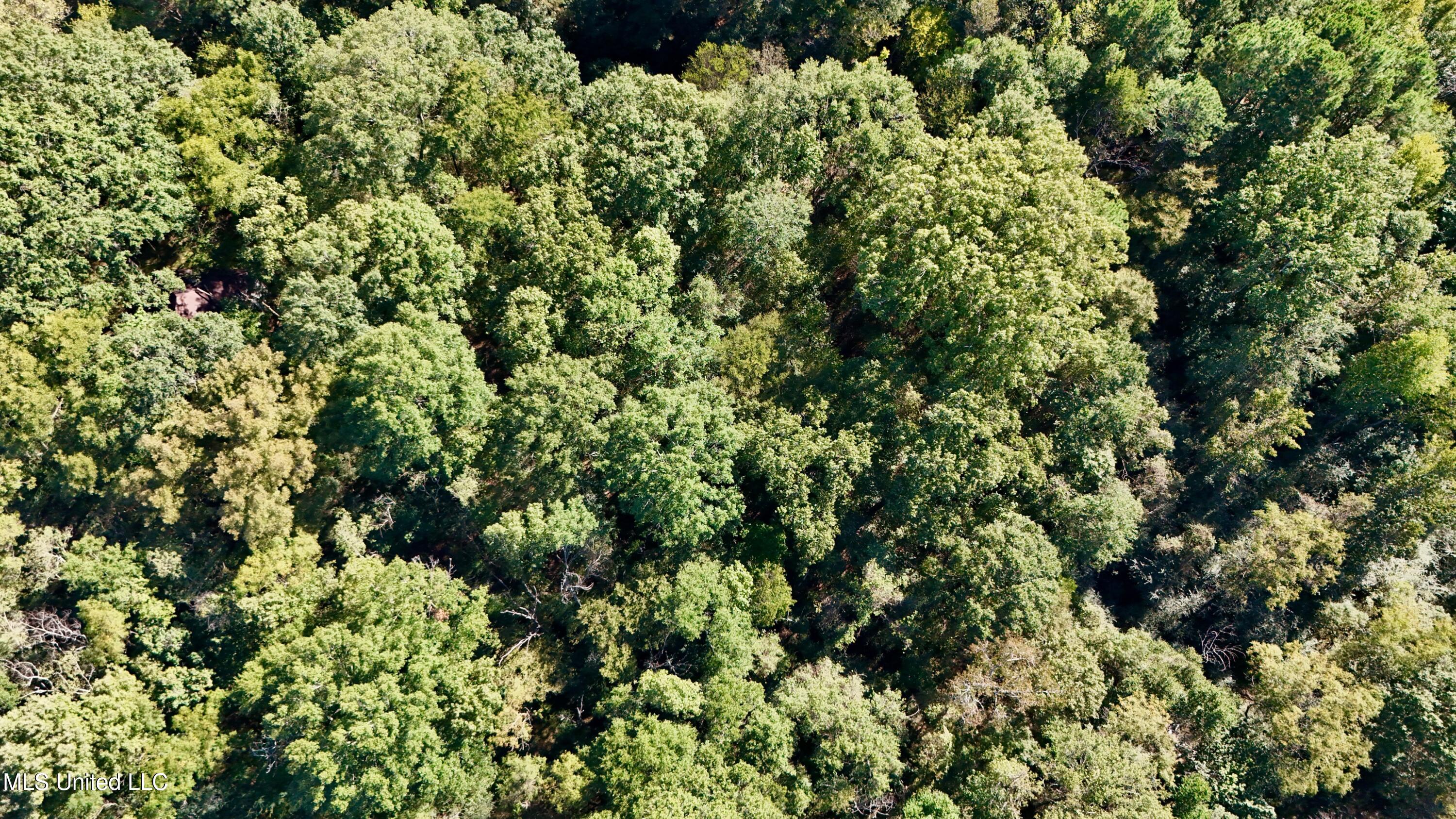 0 Vernon Road Clinton, MS 39056 - Photo 7 of 11 dji_fly_20251009_153406_0381_17600423573