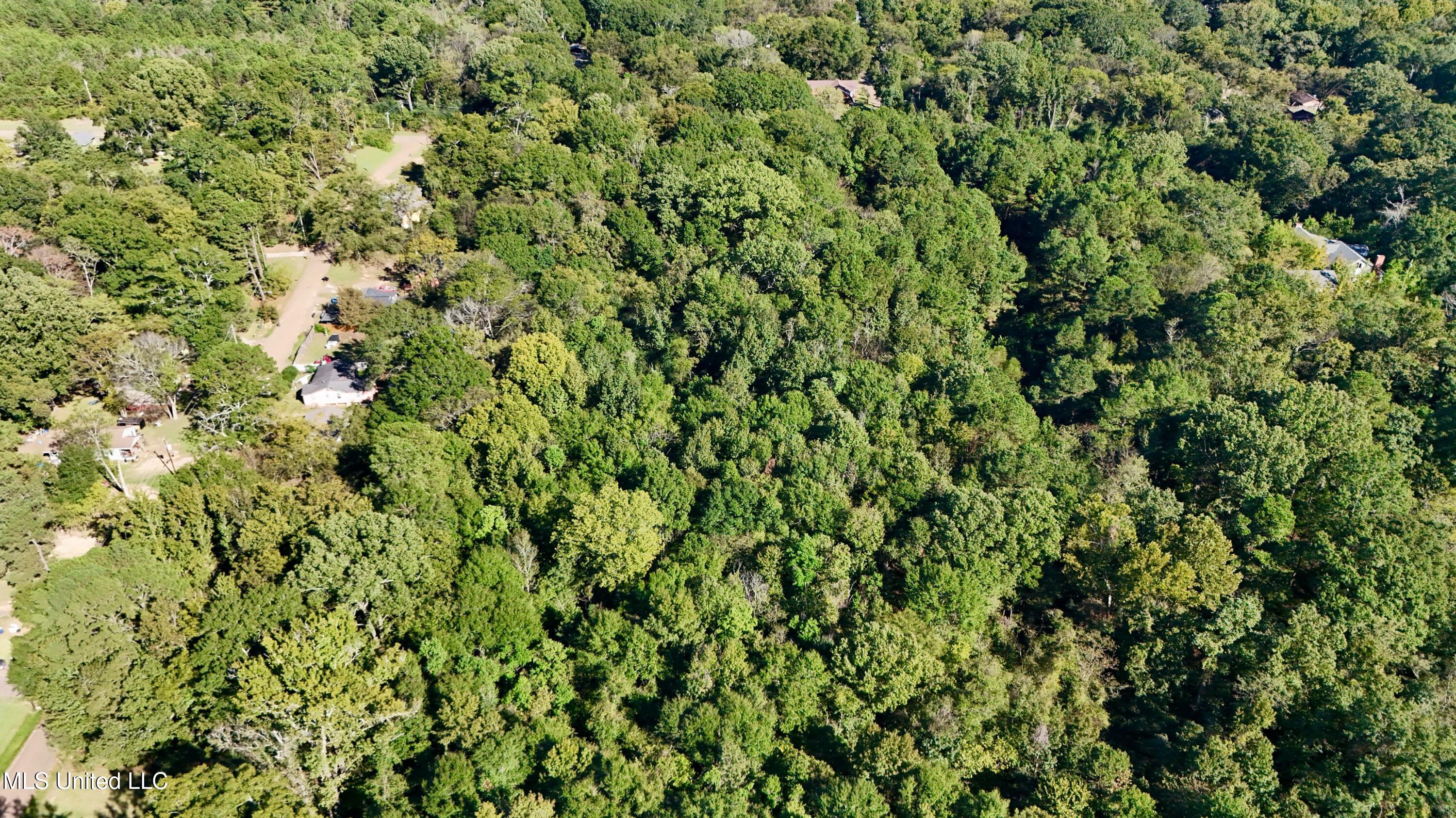 0 Vernon Road Clinton, MS 39056 - Photo 8 of 11 dji_fly_20251009_153442_0383_17600423497