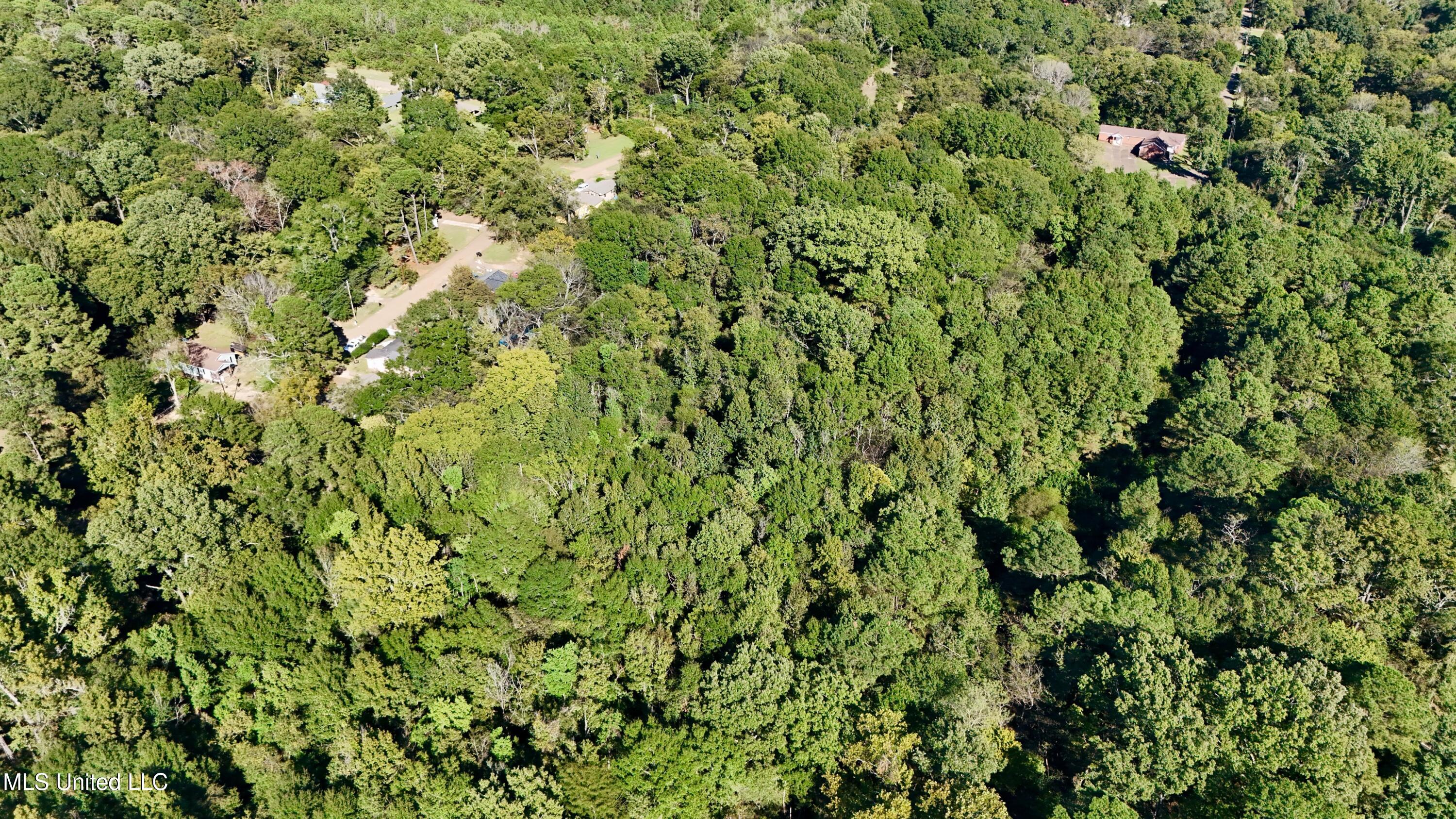 0 Vernon Road Clinton, MS 39056 - Photo 10 of 11 dji_fly_20251009_153516_0385_17600423414