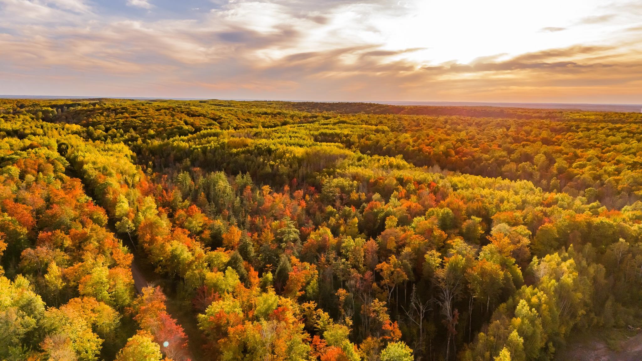 Tower Road, Unit 7 Crandon, WI 54520 - Photo 18 of 23