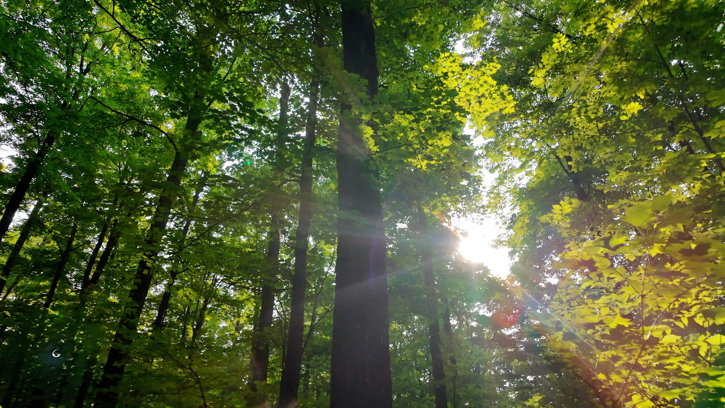 Tower Road, Unit 7 Crandon, WI 54520 - Photo 4 of 23