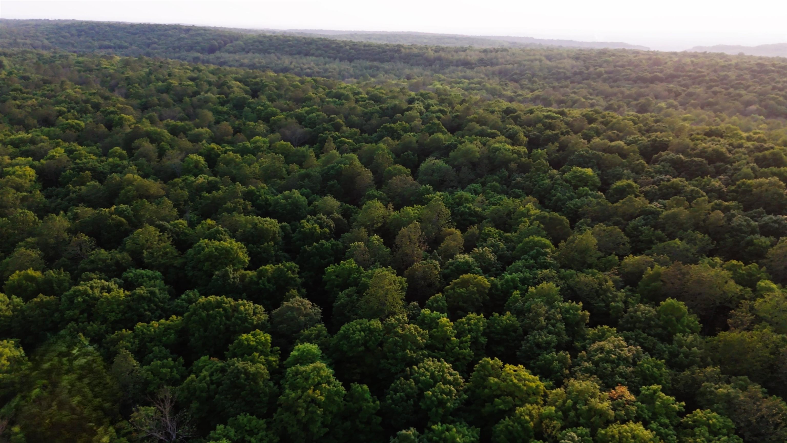 Tower Road, Unit 7 Crandon, WI 54520 - Photo 9 of 23