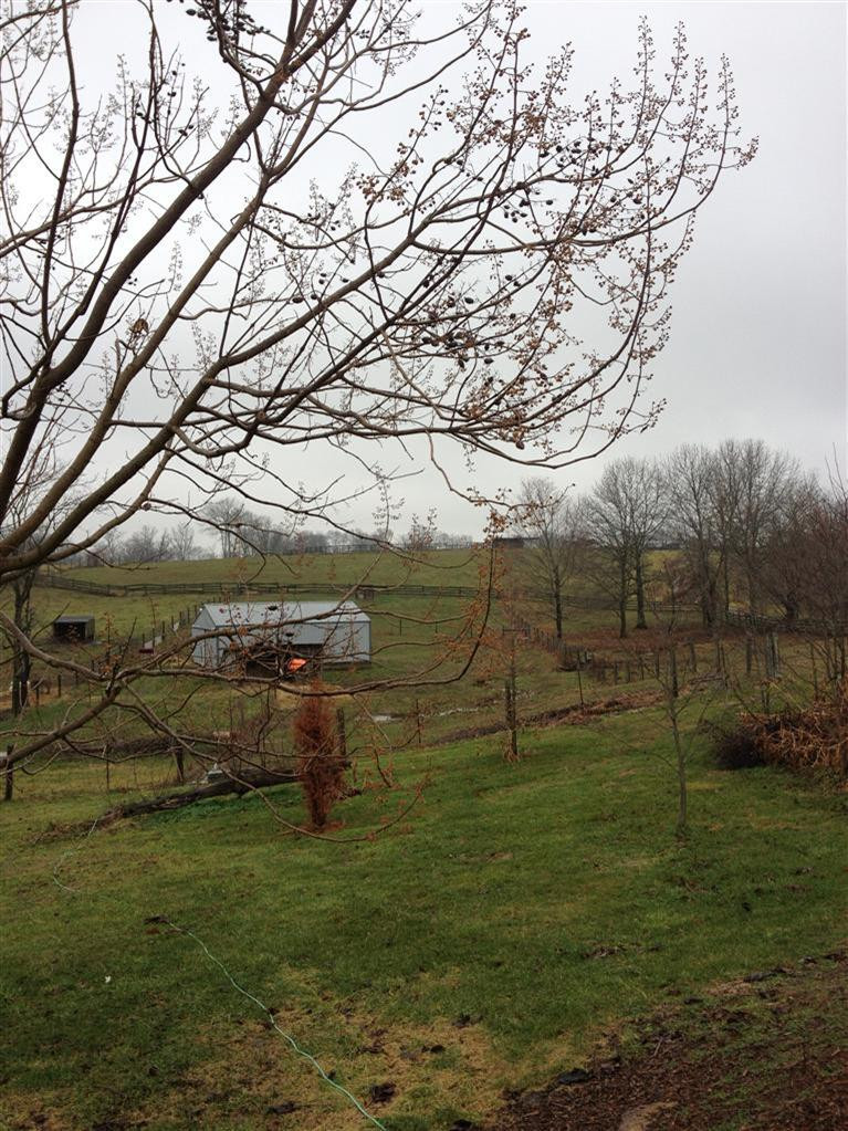 998 Locust Fork Road Stamping Ground, KY 40379 - Photo 19 of 23 Three fenced areas for your animals. Th