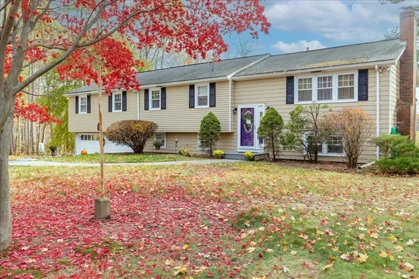 a view of a house with backyard and tree