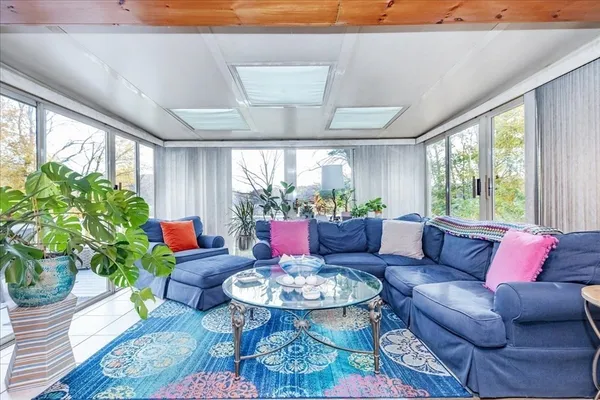 a living room with furniture and a potted plant