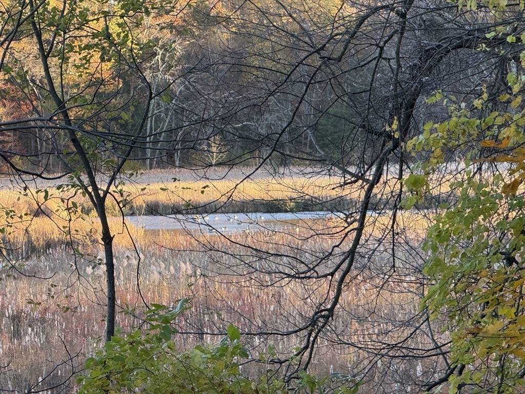 11 Spring Street Danvers, MA 01923 - Photo 40 of 42