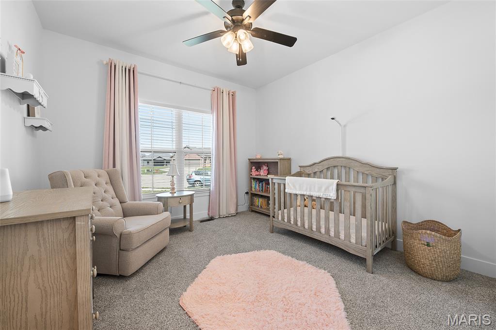 8444 Cryder Lane Troy, IL 62294 - Photo 5 of 38