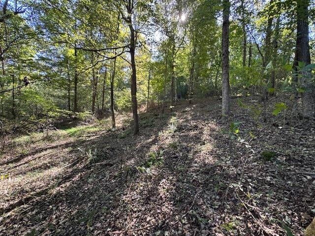 0 Ashby Road Centertown, KY 42328 - Photo 15 of 28 Gallery Image 15