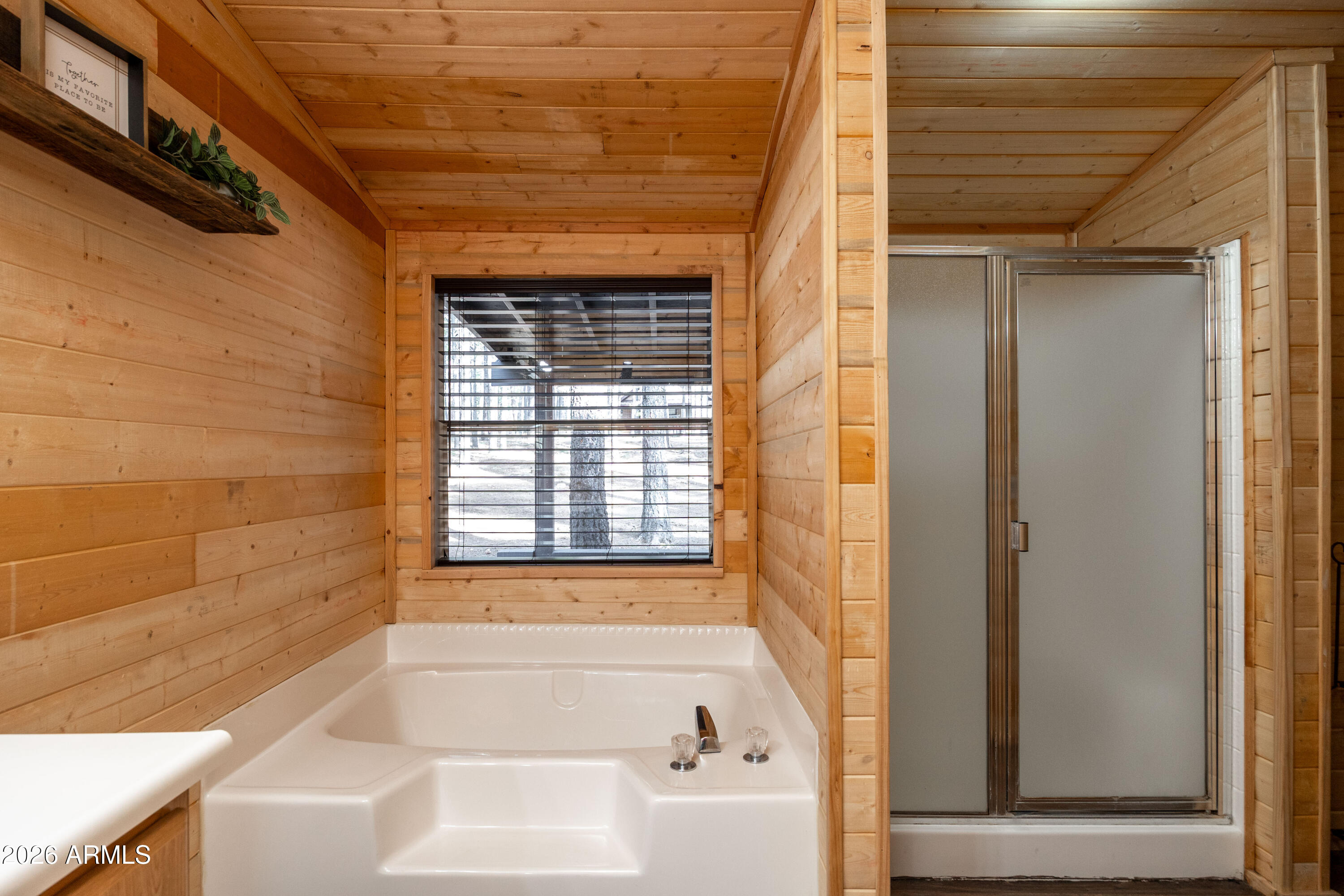 1415 Sheep Springs Road Forest Lakes, AZ 85931 - Photo 21 of 46 7R3A8992