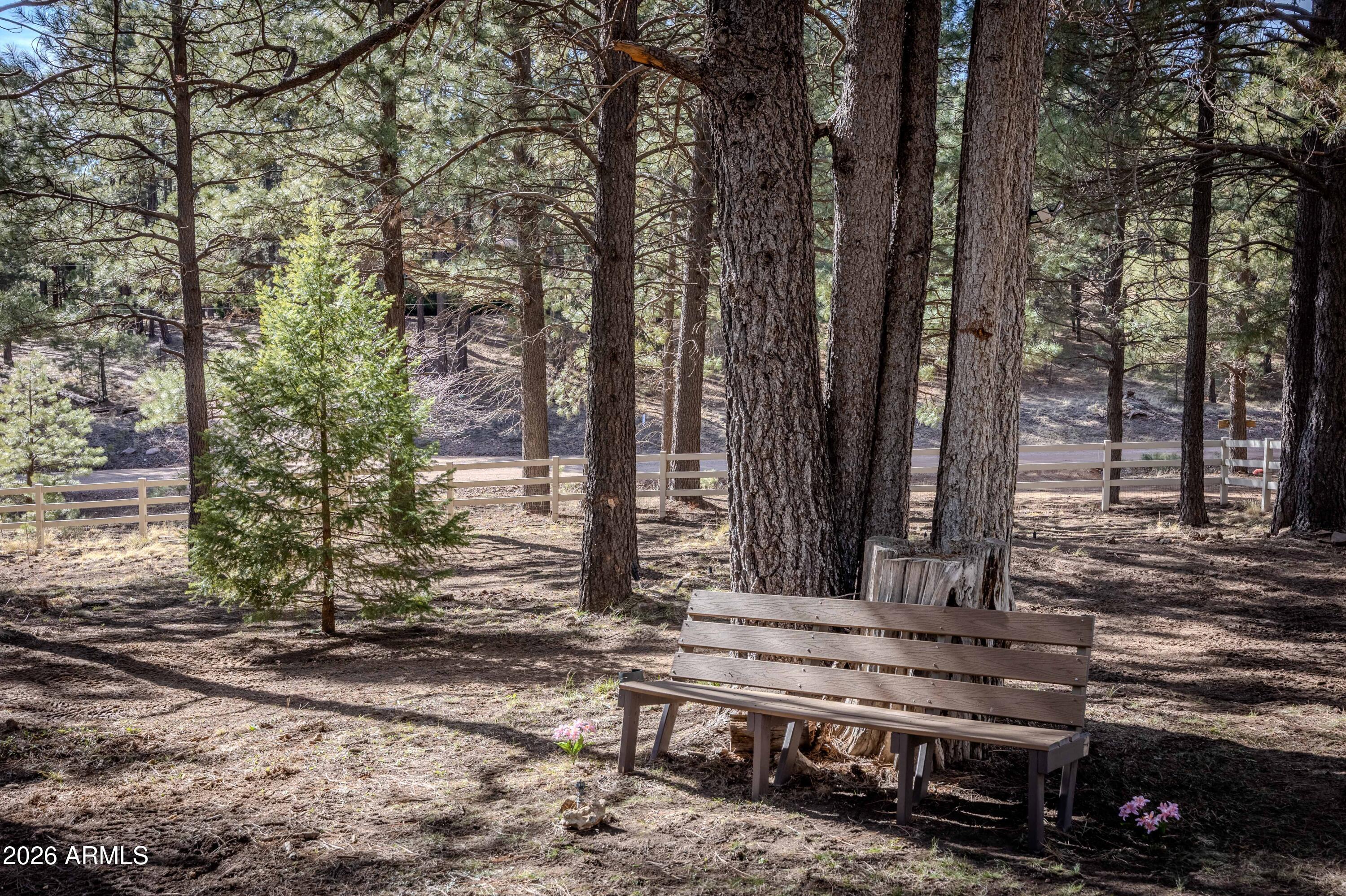 1415 Sheep Springs Road Forest Lakes, AZ 85931 - Photo 25 of 46 7R3A8903-HDR