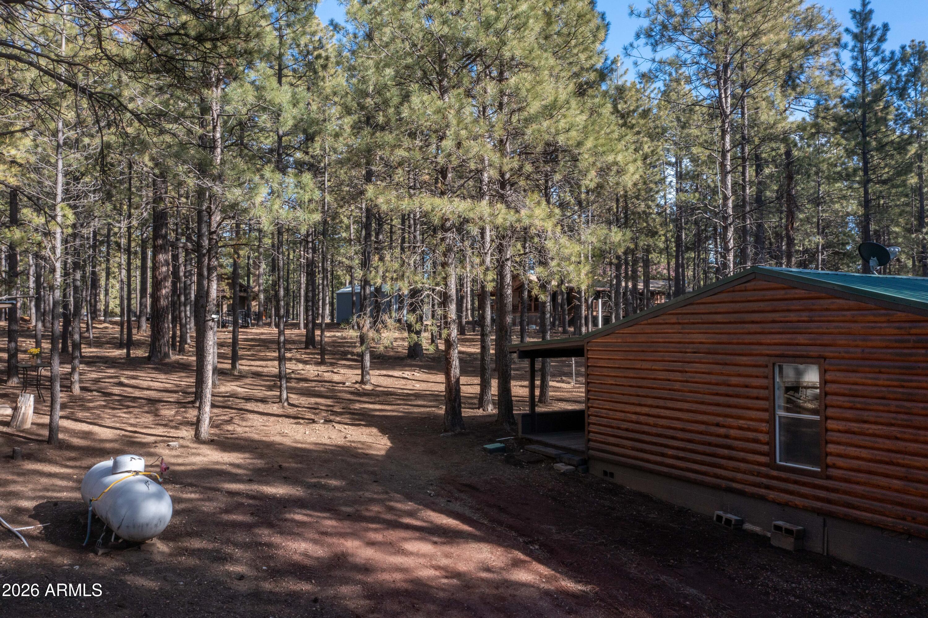 1415 Sheep Springs Road Forest Lakes, AZ 85931 - Photo 32 of 46 DJI_0331