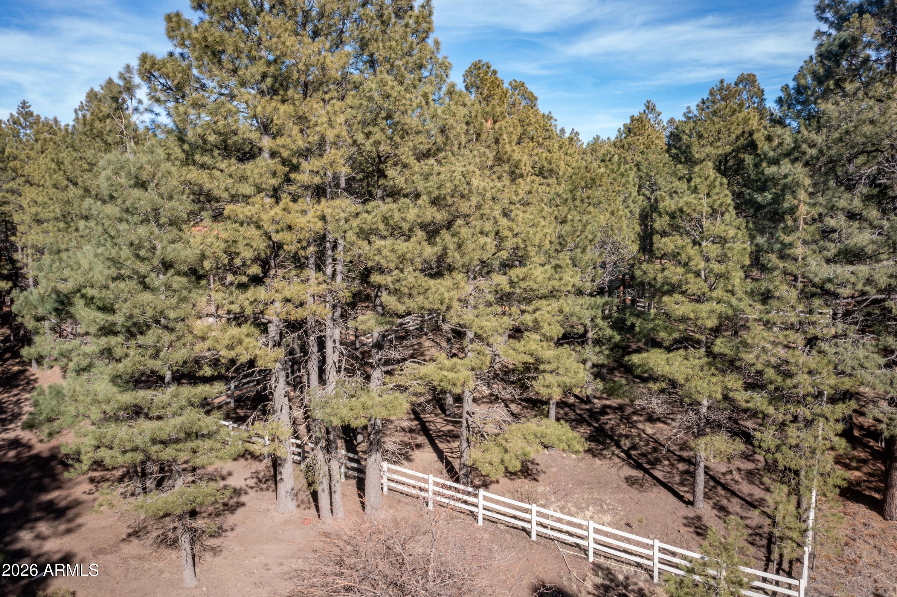 1415 Sheep Springs Road Forest Lakes, AZ 85931 - Photo 45 of 46 DJI_0323