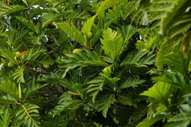 a view of a swimming pool