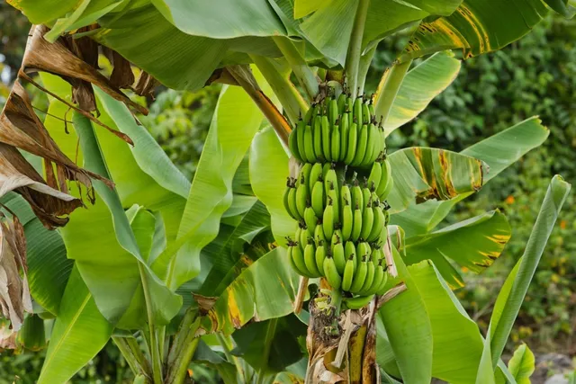 a view of a road with a yard