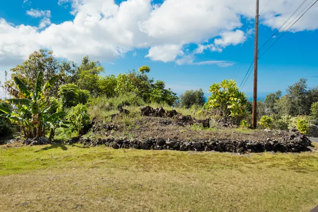 a view of a yard with plants