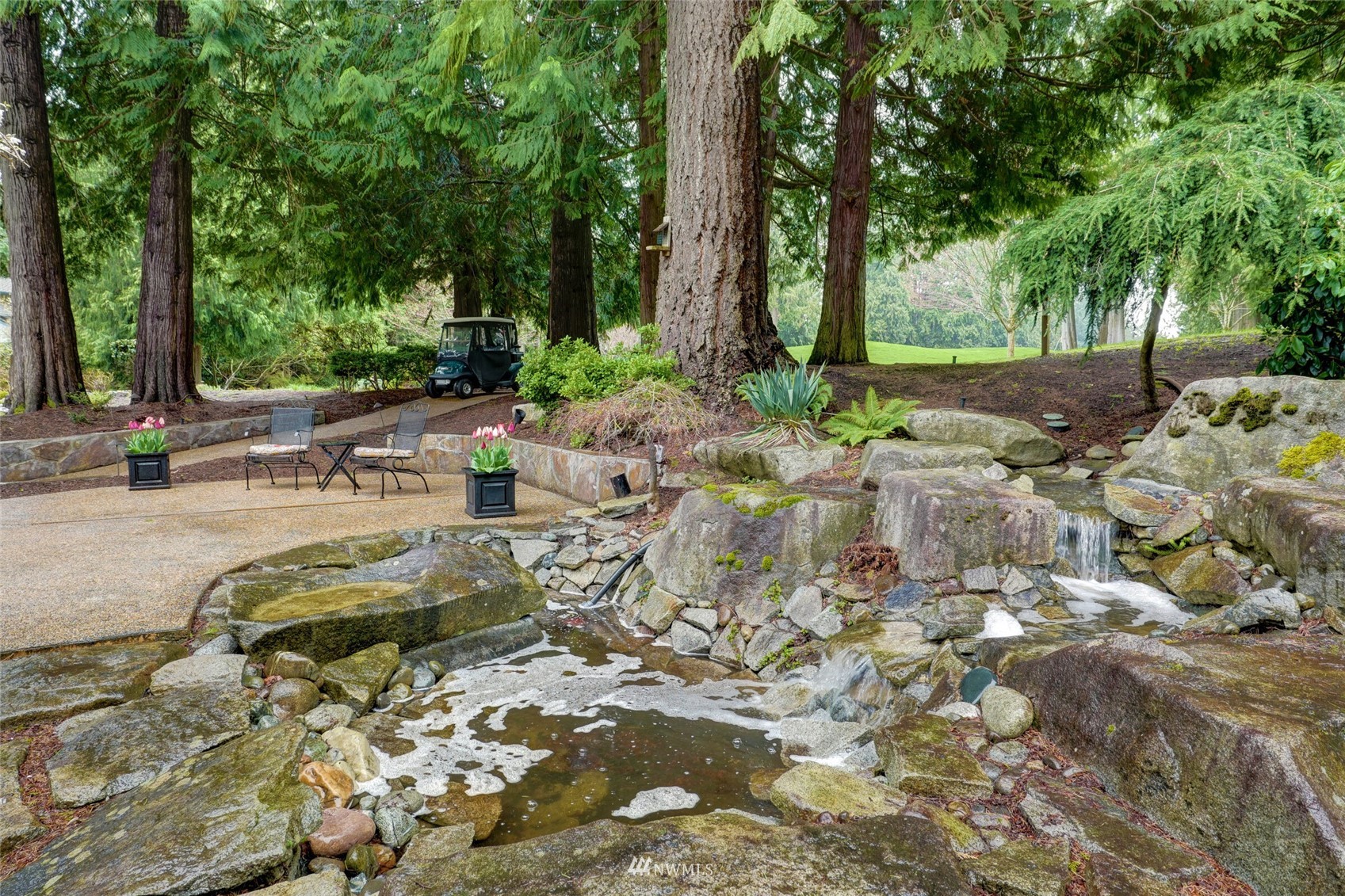 2315 216th Place Northeast Sammamish, WA 98074 - Photo 31 of 38 a view of a park with large trees