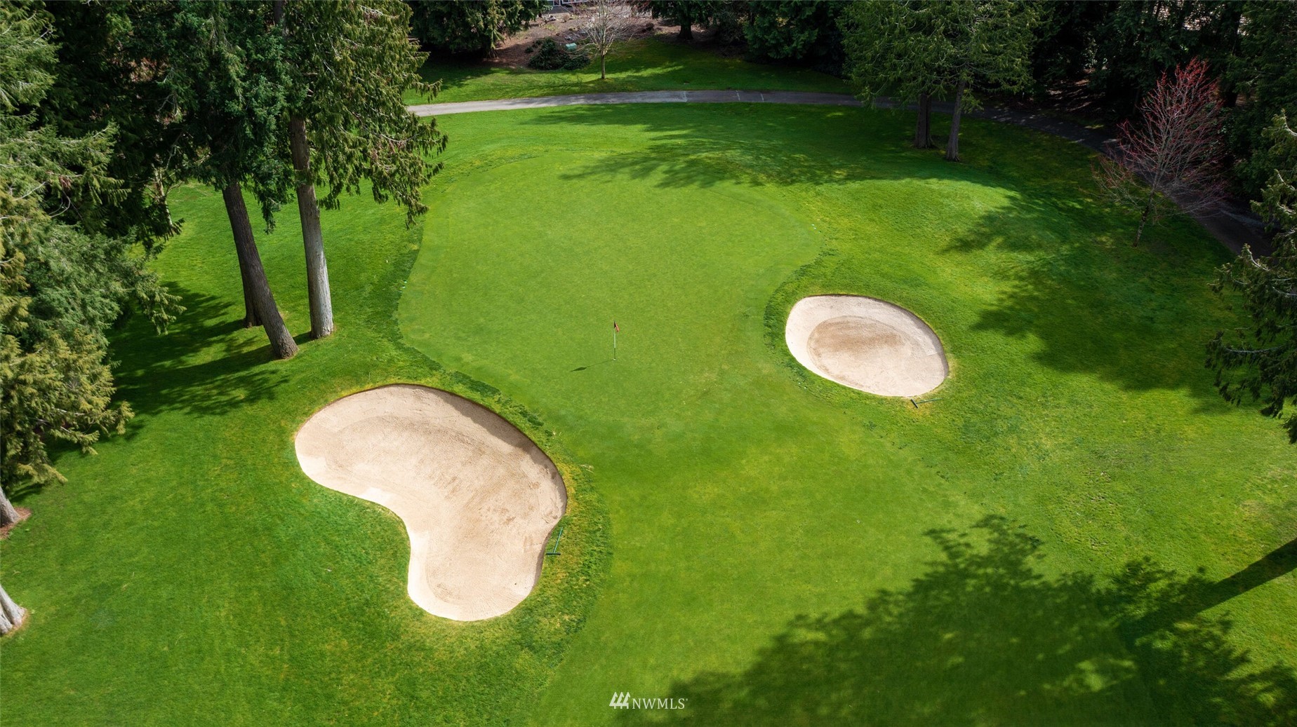 2315 216th Place Northeast Sammamish, WA 98074 - Photo 38 of 38 a view of a golf course with a swimming pool