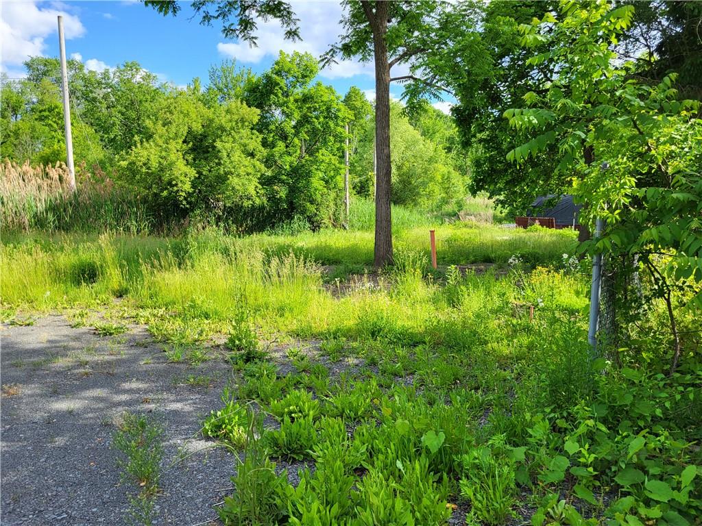 77 County Rte 56 New Hampton, NY 10958 - Photo 3 of 7 a view of a lake view with a garden