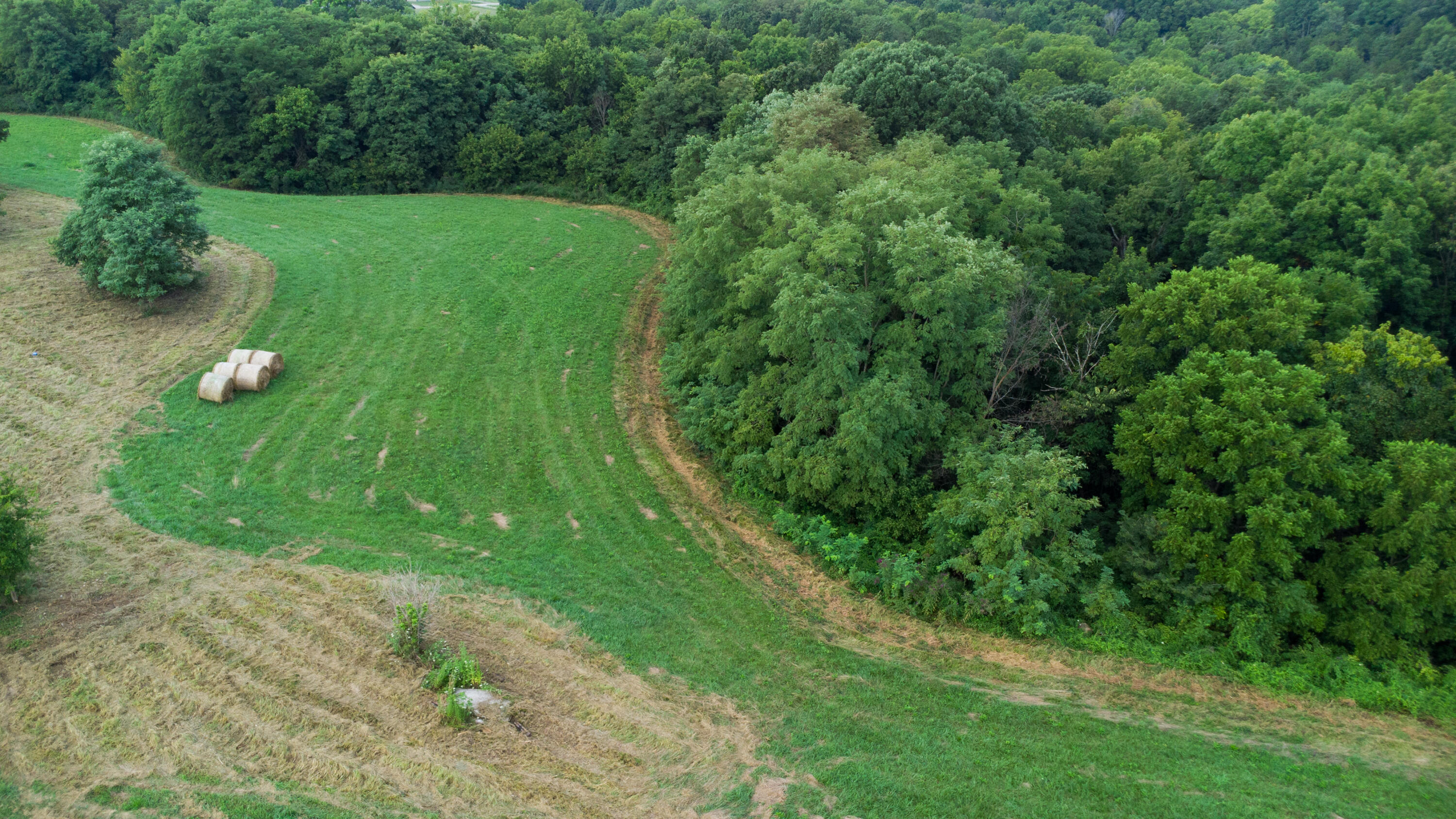 4095 Warsaw Road Dry Ridge, KY 41035 - Photo 27 of 48