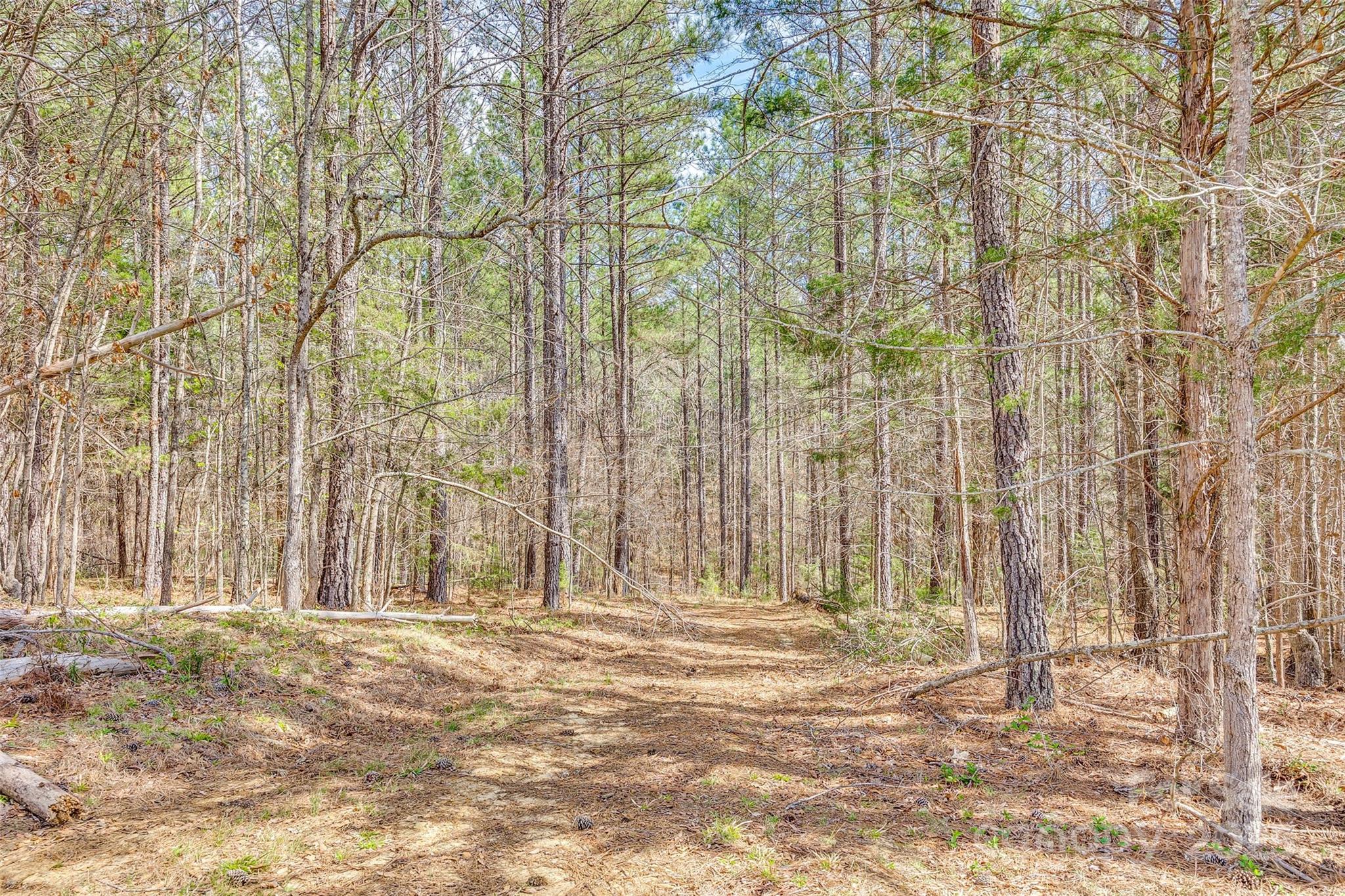 1370 Martin Road Hickory Grove, SC 29717 - Photo 40 of 48