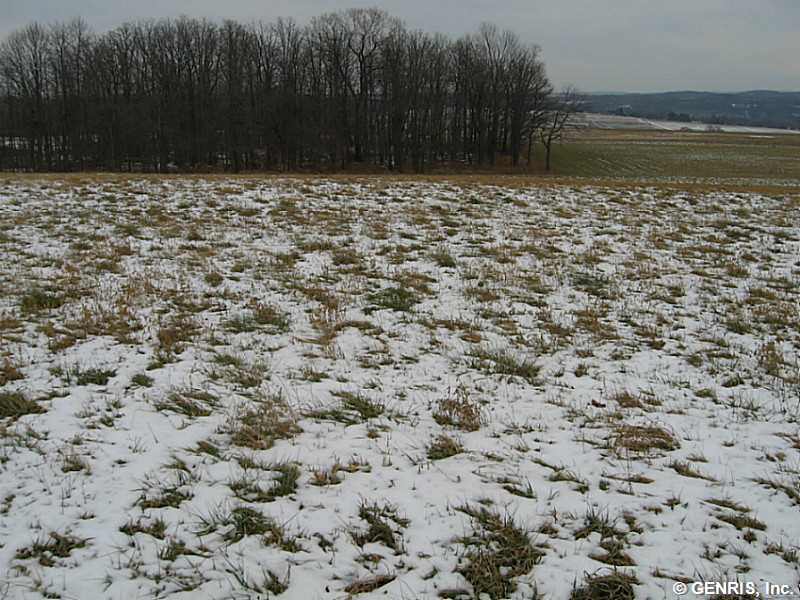 4439 Federal Road Livonia, NY 14487 - Photo 1 of 1 Land/Lot