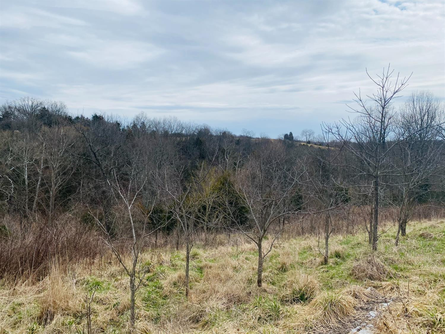 6789 Owenton Road Owenton, KY 40359 - Photo 11 of 14 Photo 11