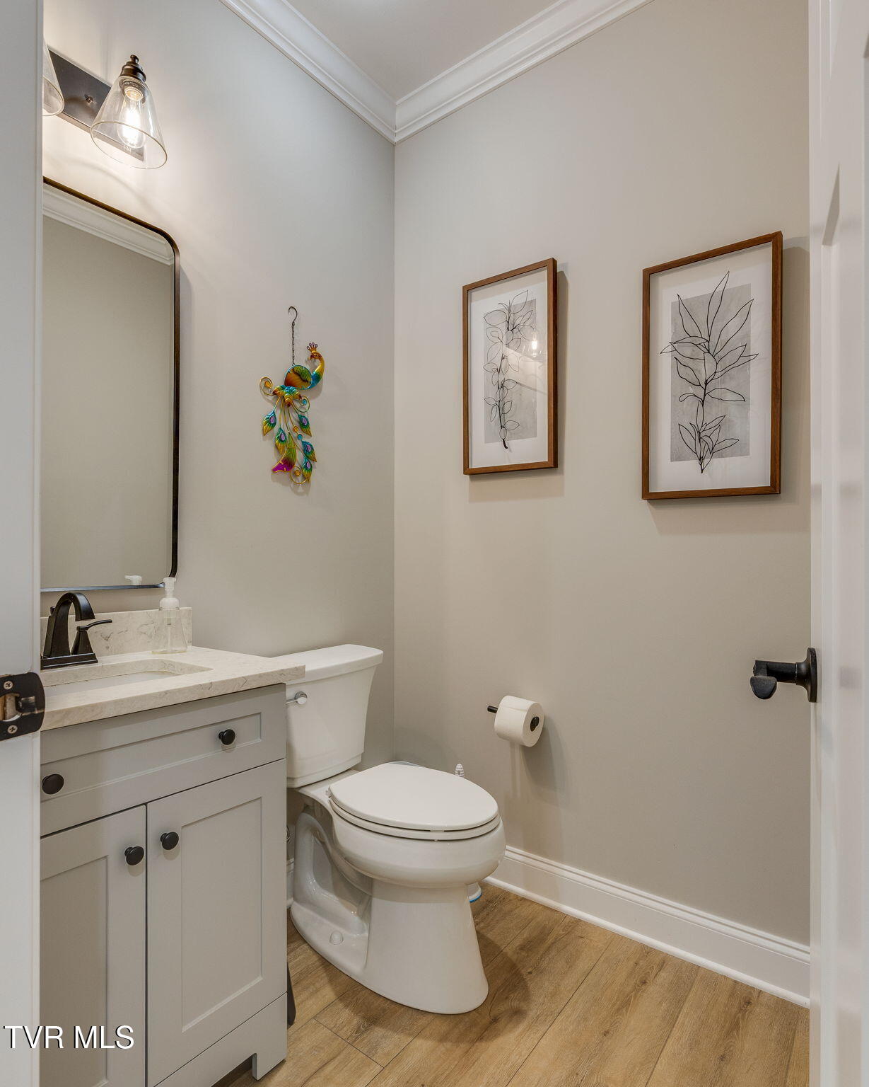 226 Quiet Stroll Lane Gray, TN 37615 - Photo 13 of 39 012