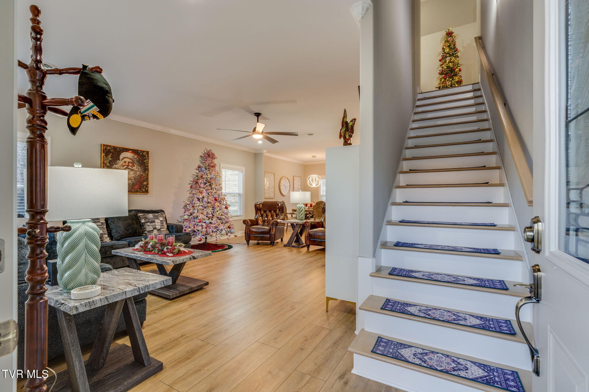 226 Quiet Stroll Lane Gray, TN 37615 - Photo 3 of 39 003