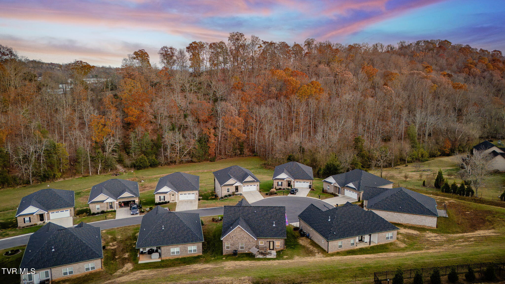 226 Quiet Stroll Lane Gray, TN 37615 - Photo 39 of 39 206