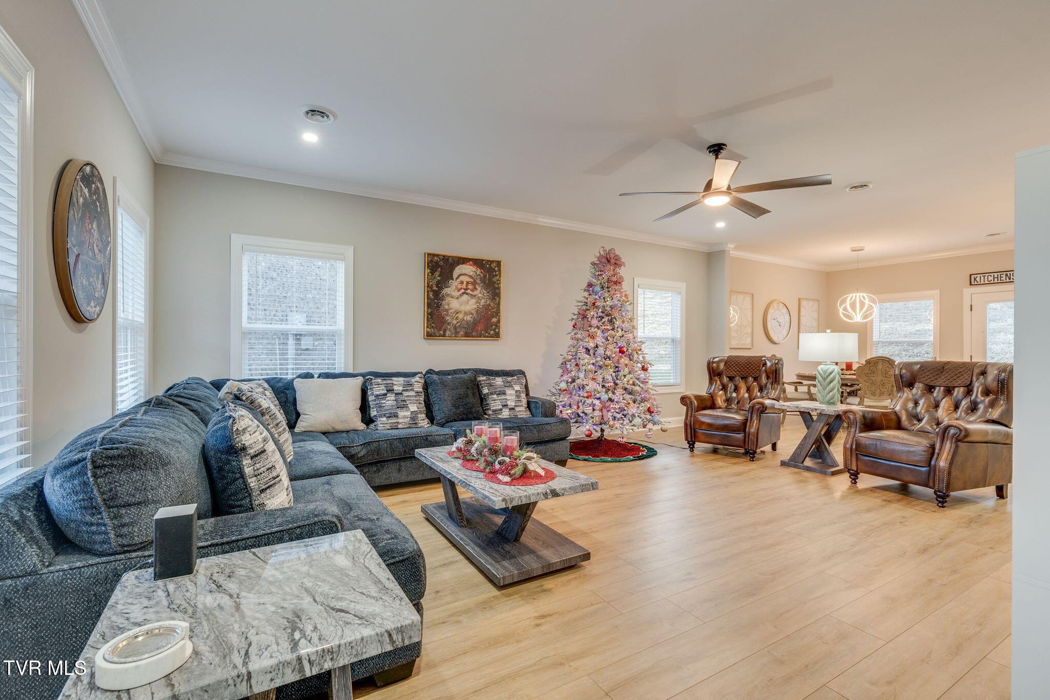 226 Quiet Stroll Lane Gray, TN 37615 - Photo 4 of 39 004