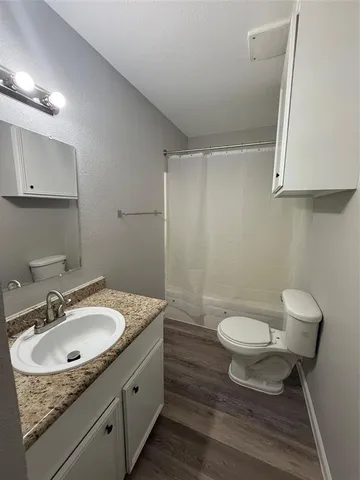 a bathroom with a sink toilet a mirror and vanity