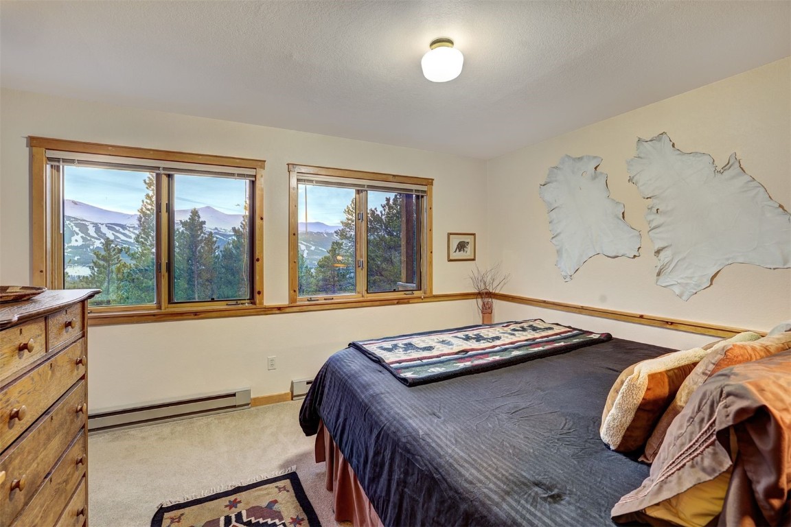 2502 Boreas Pass Road Breckenridge, CO 80424 - Photo 17 of 34 Gallery Image 17