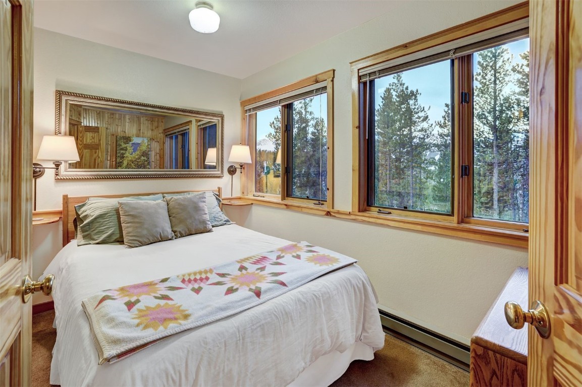2502 Boreas Pass Road Breckenridge, CO 80424 - Photo 28 of 34 Gallery Image 28